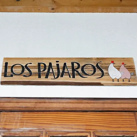 Pajaros *