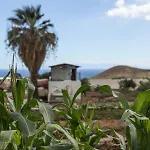 Pajaros ファームステイ