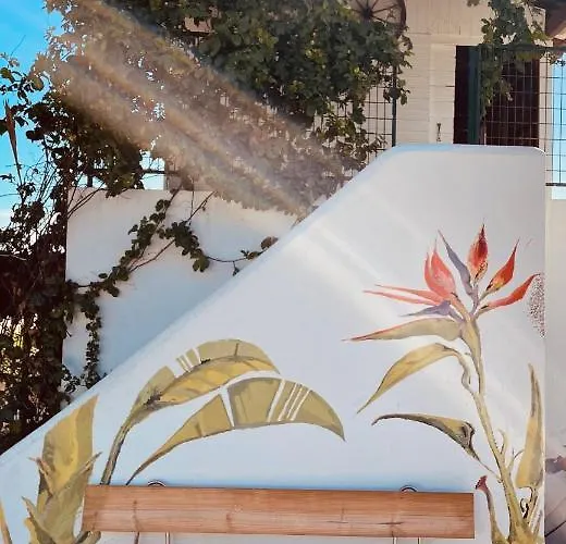 Pajaros Bauernhof Santa Cruz de Tenerife