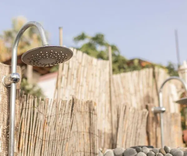 Pajaros Santa Cruz de Tenerife