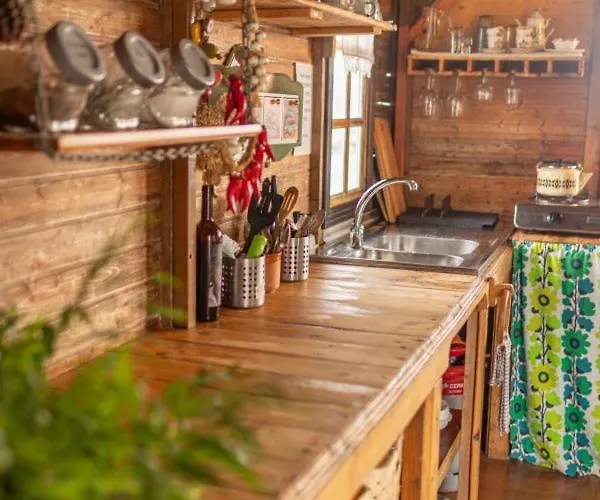 Pajaros Santa Cruz de Tenerife