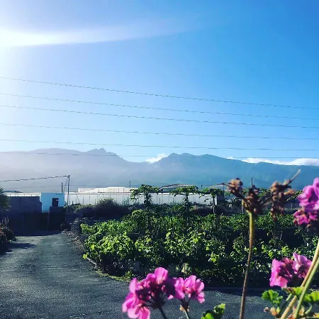 Pajaros Farm stay