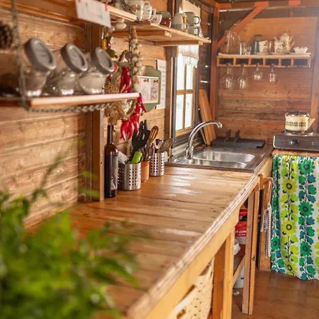 Pajaros Santa Cruz de Tenerife