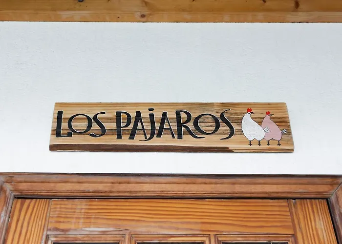 Pajaros *