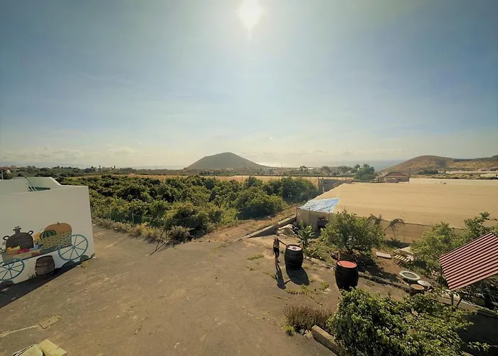 Pajaros * Santa Cruz de Tenerife